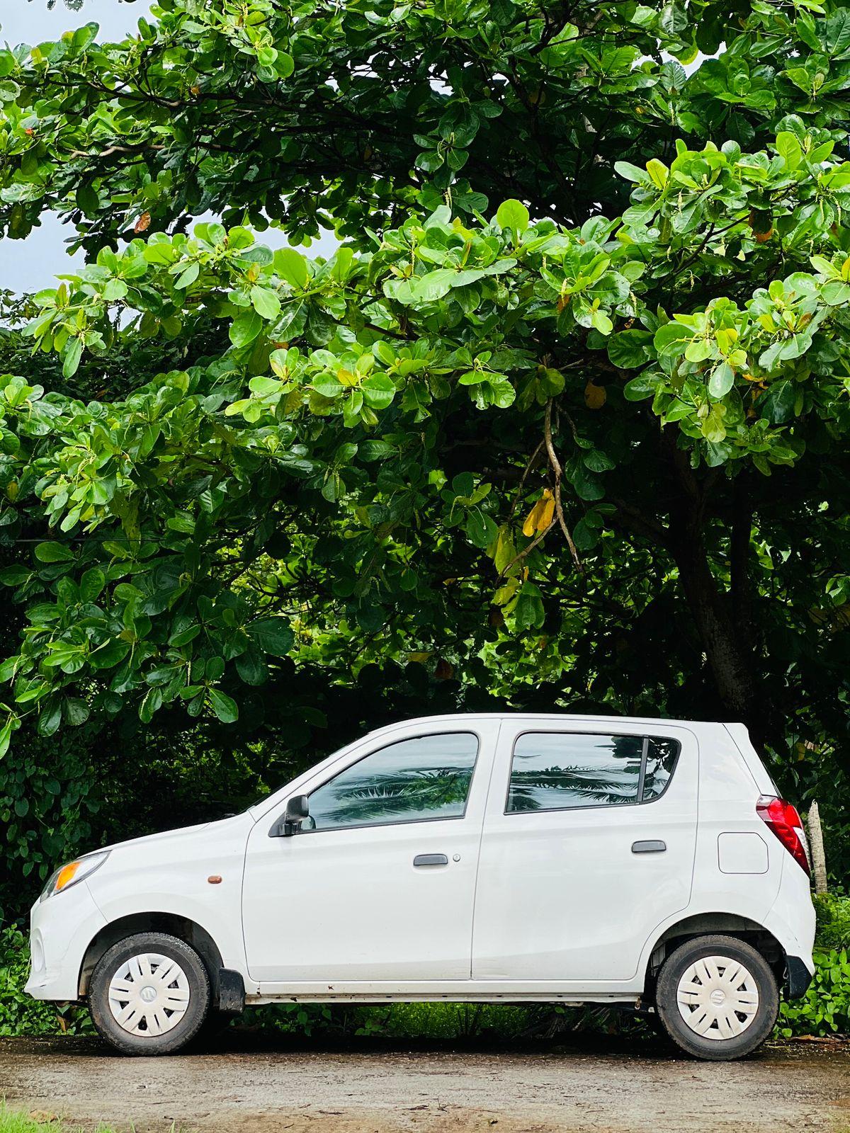 2018 Maruti Suzuki Alto 800 LXI 2018 Maruti Suzuki Alto 800 LXI
